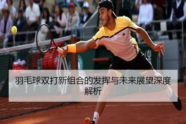 羽毛球双打新组合的发挥与未来展望深度解析